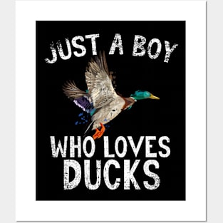 Just A Boy Who Loves Ducks Posters and Art